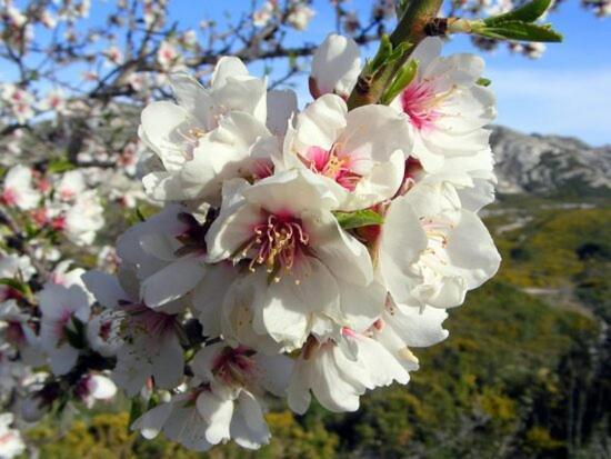 Villa La Cigale, Maussane Les Alpilles Екстер'єр фото